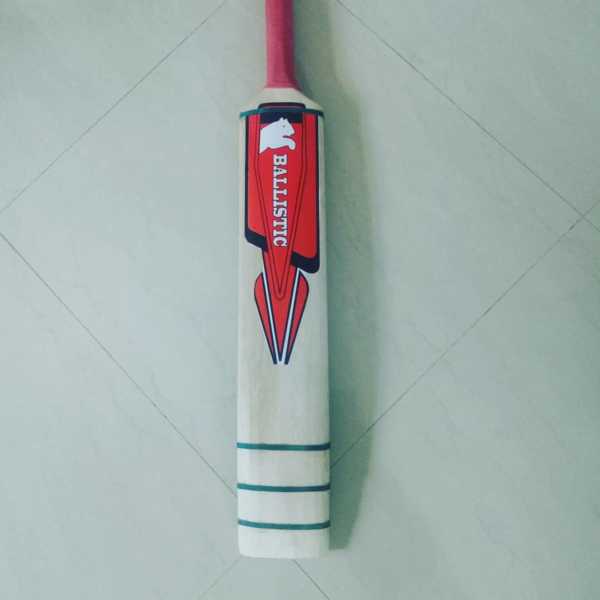 Softball cricket bat
