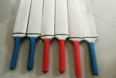 Softball cricket bat