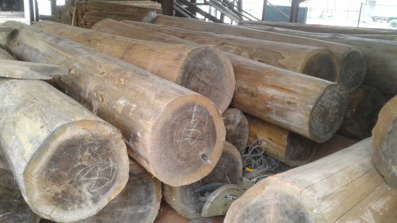 Imported Cypress logs, Wholesale and Retail