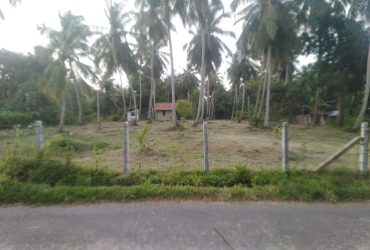 Land for sale in Marawila